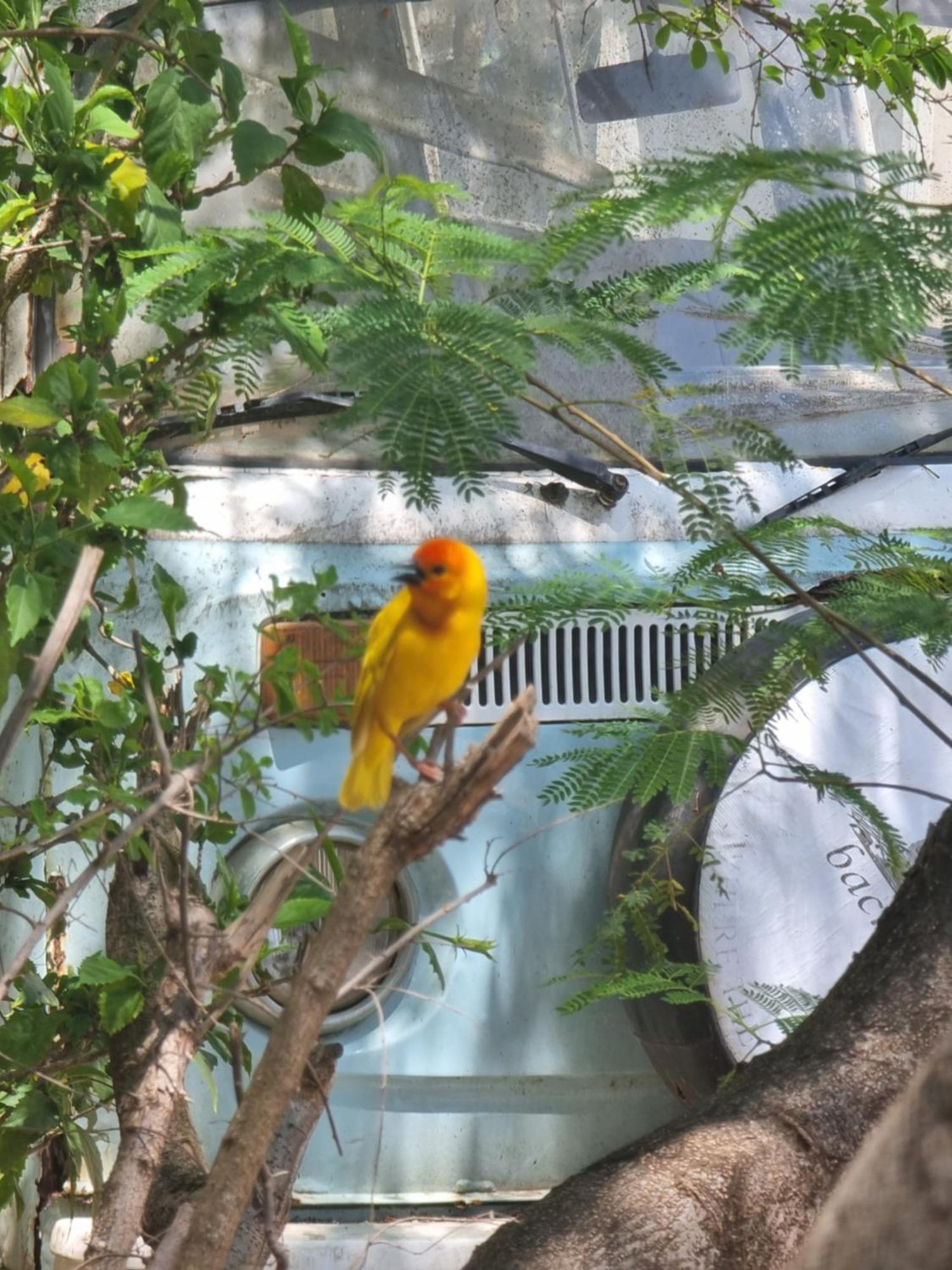 Tulia House Backpackers Hostel Mombasa Exterior foto